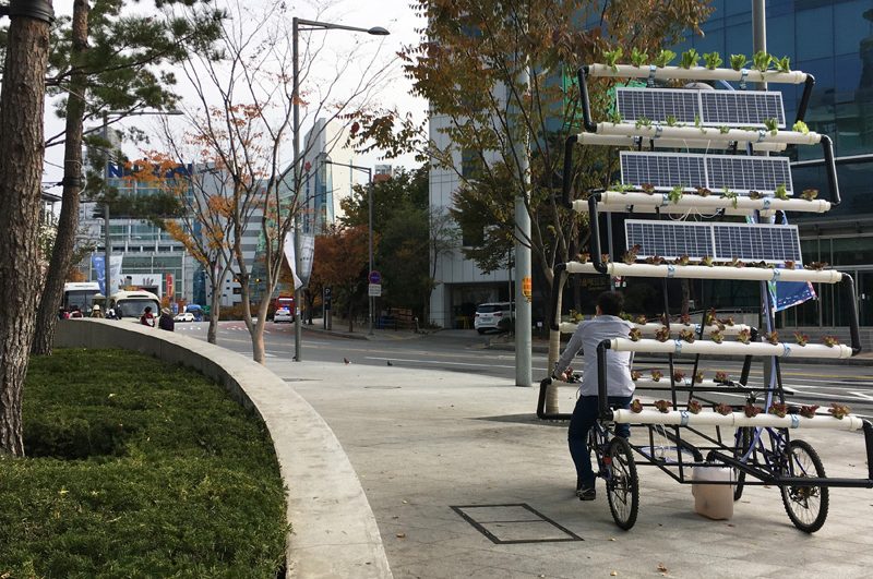 People's Industrial Design Office made this vertical garden on a bicycle.